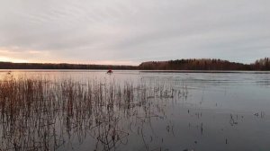 Фрегат 330 FM Light + Mercury 5.0 2t Тест Драйв