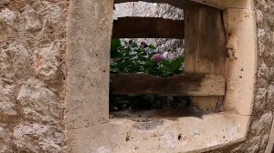 Европейская Великая Китайская стена охраняющая соль