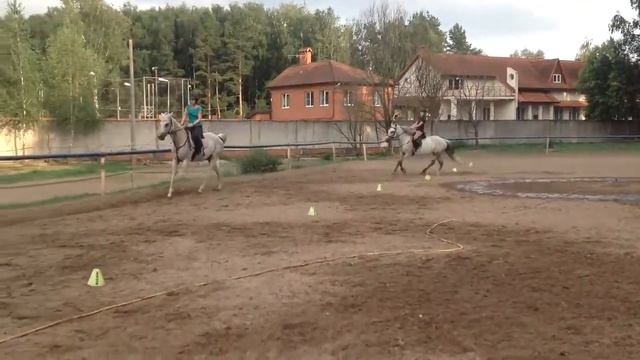 horse riding gallop (езда на лошади галопом) смотреть онлайн