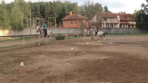 horse riding gallop (езда на лошади галопом)