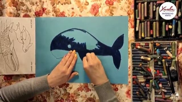 Самое большое млекопитающее планеты Земля. Кит