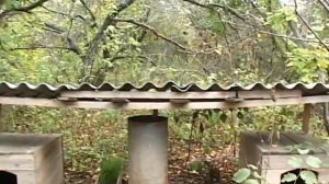 Охотничья-рыболовная база Барс село Костарёво, Камышинский район.(Сьёмка  Асcоциация "Праздник")