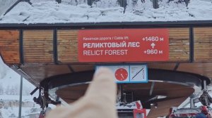 Сочи зимой. Красная поляна. Роза хутор.