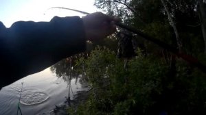 ловля леща подлещика ночью на донки