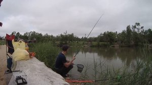 рыбалка в приморском крае. июль 2021. сазан и карп на озере