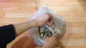 Выращивание грибов / как заразить полено мицелием вешенки / самый лучший способ