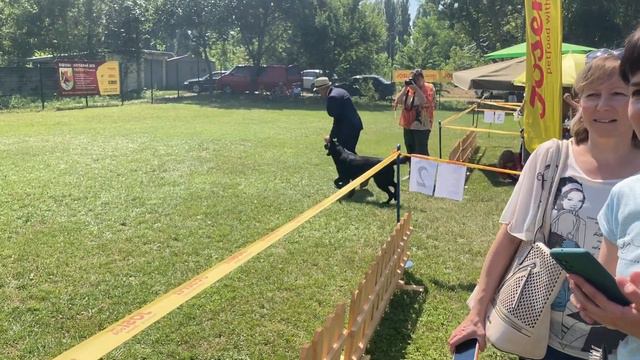 Выставка в Павлограде Николас и Настя взяли J.CACBOBBest-3