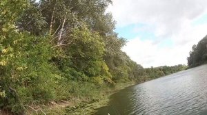 Рыбалка на Хопре, щука в коряжнике