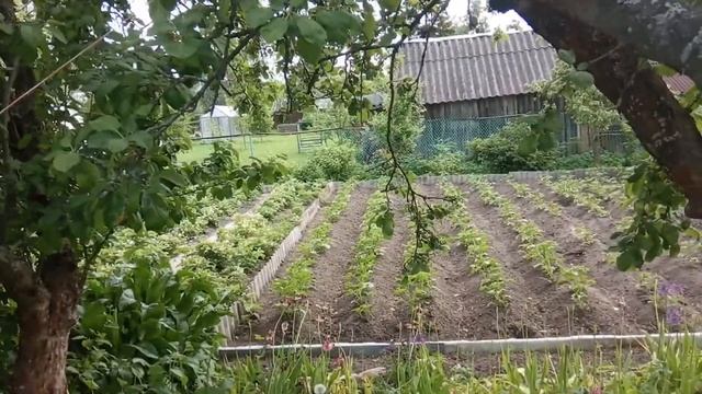 КАК ПОКРАСИТЬ ДИСКИ на скутере, без разбортовки