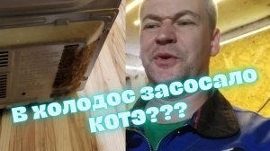 Холодильник Samsung (САМСУНГ) гудит а холода нет. Очень частая причина.