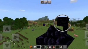 Волк Ест Овец Но Не Ест Свиней Волк Мусульманин в Майнкрафт