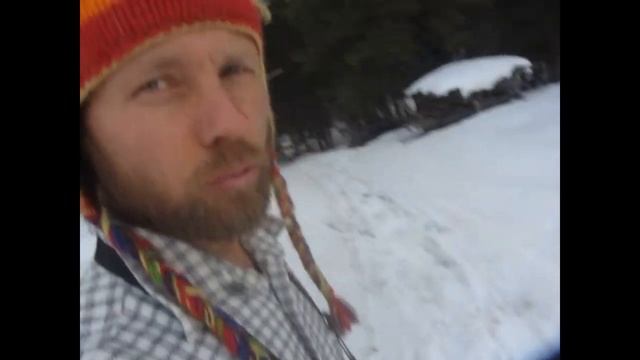 Уникальный съедобный гриб ДРОЖАЛКА черная смотреть онлайн