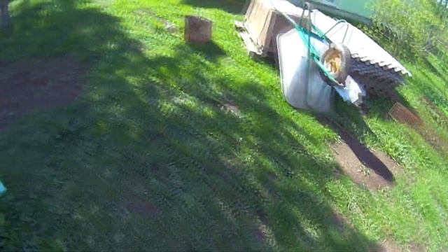 1. Планы дачных работ на 2020 год (Благоустройство хозблока) смотреть онлайн