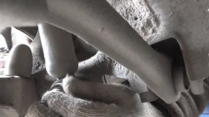 Замена задней стойки Форд Фокус 1