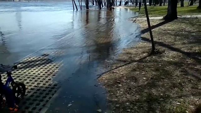 Вода в Днепре поднимается на глазах#потоп#паводок #днепр#киев #уровень воды#вода от дорожки на 10 м смотреть онлайн