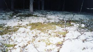 2003г. Вологда, Сухона, Сев. Двина