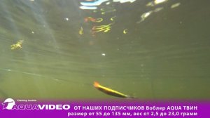 🎣🔥 Воблер для рыбалки AQUA ТВИН - заменит Вам сразу несколько приманок.