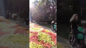 День Города Воронеж 2023