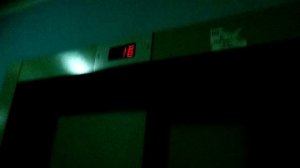 Лифты ЩЛЗ Ecomaks @ ул. Миклухо-Маклая, 38, Коньково, Москва, Россия