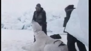 1989   Беринговое море   Охота на Аляске