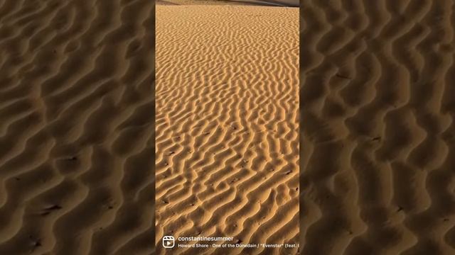 The Imperial Sand Dunes (Algodones Dunes) in California are a colossal expanse of dunes.