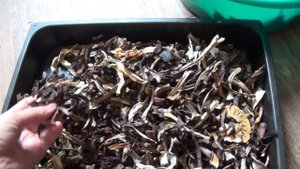 Сколько мы всего насушили 31 авг 2021