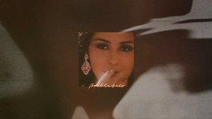 Sting - Desert Rose (SLOWED + REVERB)