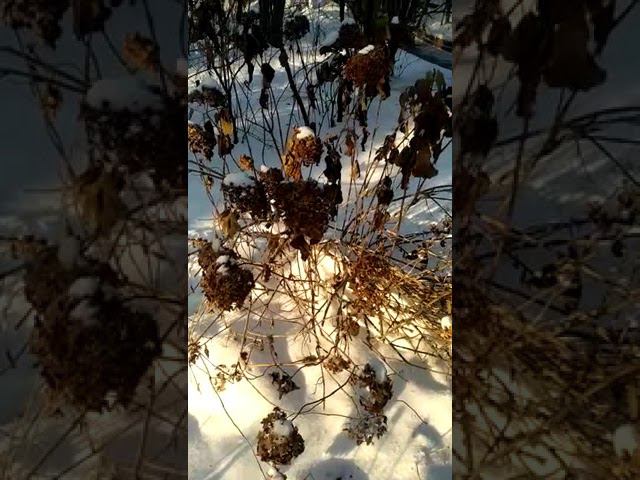 30 ноября 2022 г. смотреть онлайн