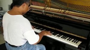 Piano Tuner