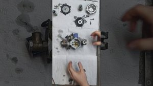 Разобрал газовый редуктор Tomasetto AT12