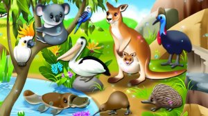 Учим Животных Австралии
