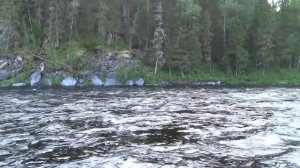 Печоро-Илычский заповедник 2016 часть 2