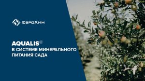 Aqualis в системе минерального питания сада