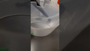 Jura We8 Coffee Machine -- How to make a cappuccino