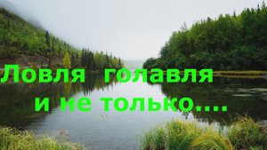 Ловля голавля и не только.  Graphiteleader Tiro GOTS-762L 1-12