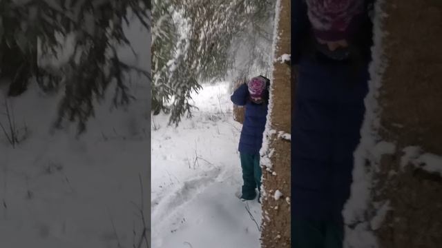 Кабы не было зимы...