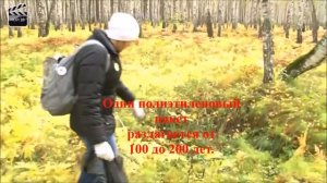 спасём природу от загрязнения, Захаровой Дарьи