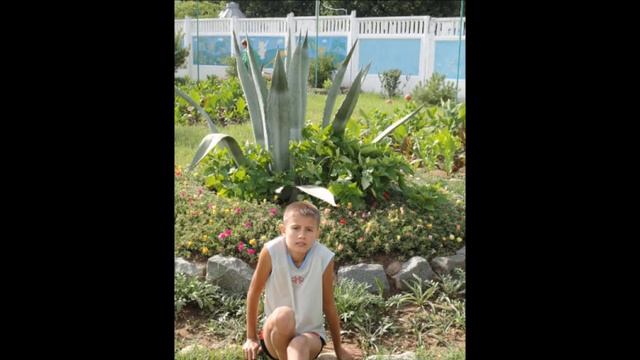 Помним Любим Скорбим смотреть онлайн