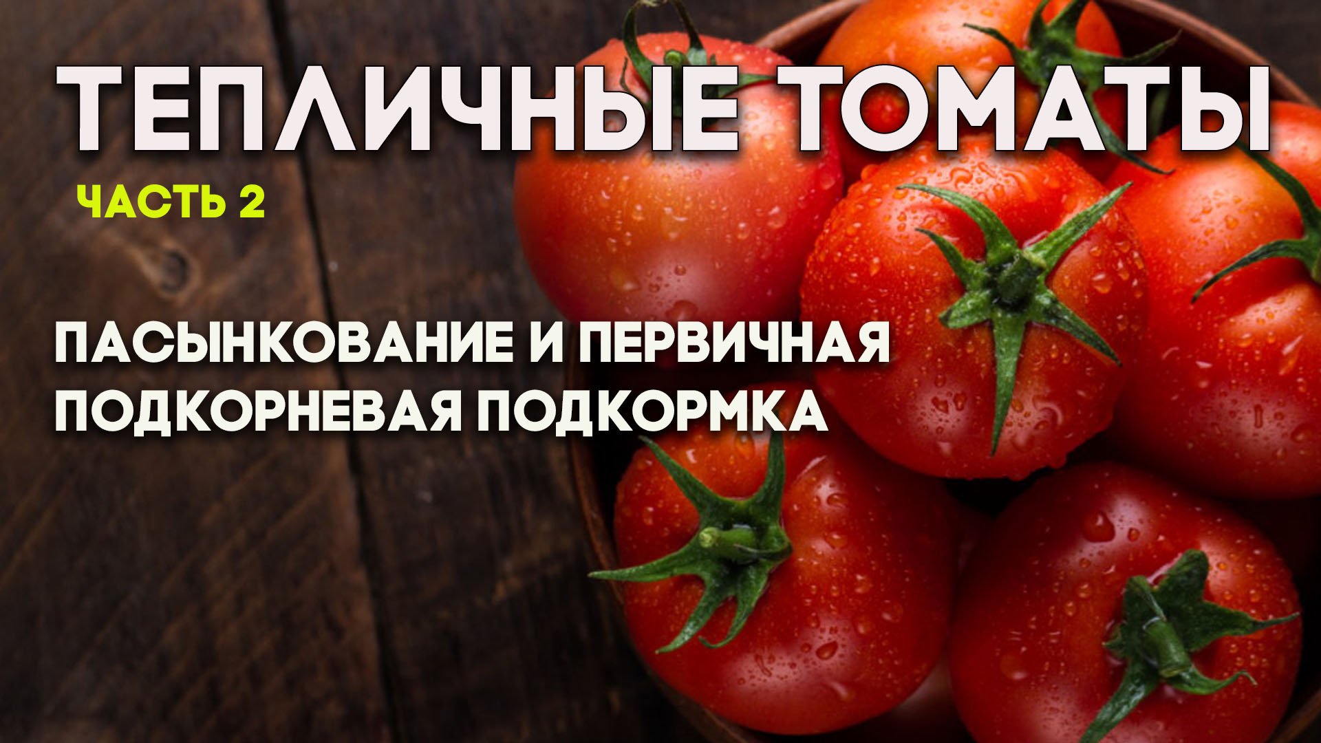 Тепличные томаты. Часть 2. Пасынкование и первичная подкорневая подкормка