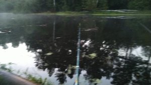 VID_20230808_050820.mp4