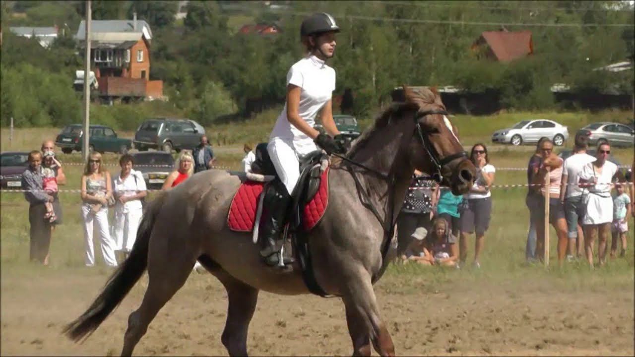 Deep Purple - The Spanish Archer. Show jumping in Zaraysk. Russia.