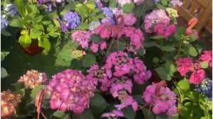 ПРИЯТНЫХ СНОВ !!! ❤️?❤️