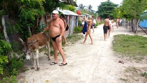 И кто из них осел