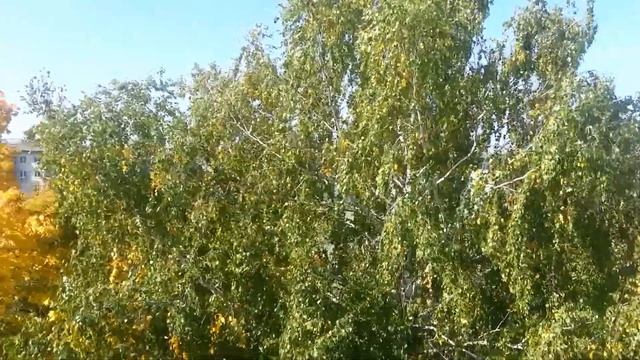 Альметьевск. Осень за окном. смотреть онлайн