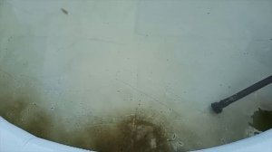 Чистка бассейна подручными средствами без слива воды
