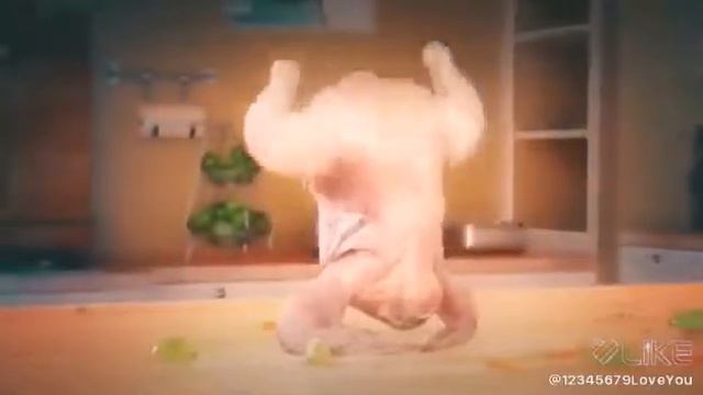 Курачка зажигает😸 смотреть онлайн