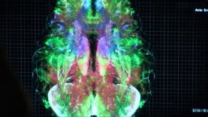 Что происходит в аду ? Свидетельство очевидцев