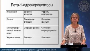 1 №12 АДРЕНЕРГИЧЕСКИЙ СИНАПС