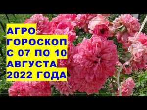 Агрогороскоп с 07 по 10 августа 2022 года