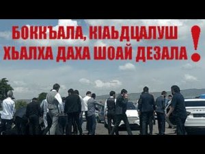 БОККЪАЛА, КIАЬДЦАЛУШ ХЬАЛХА ДАХА ШОАЙ ДЕЗАЛА!